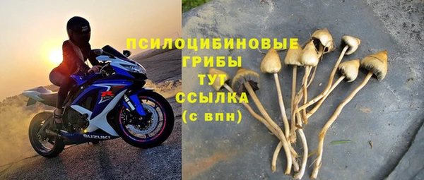 PSILOCYBIN Ельня