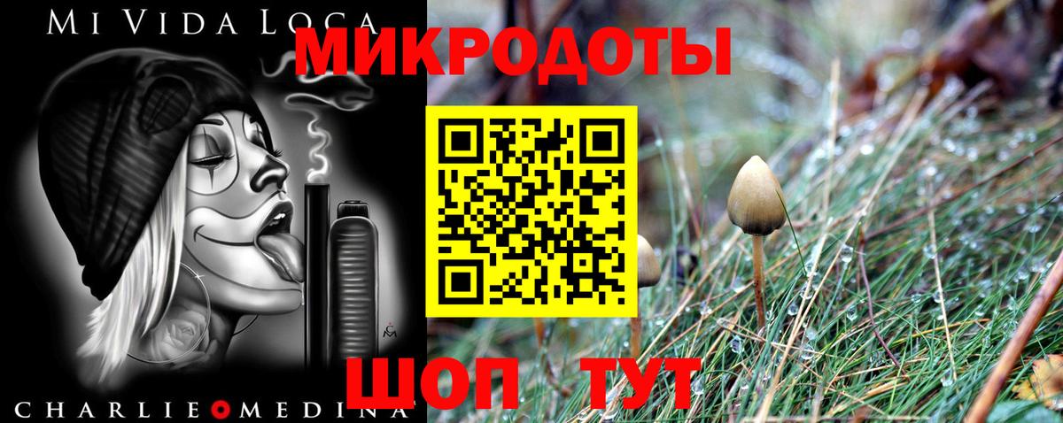 Галлюциногенные грибы прущие грибы Дальнегорск