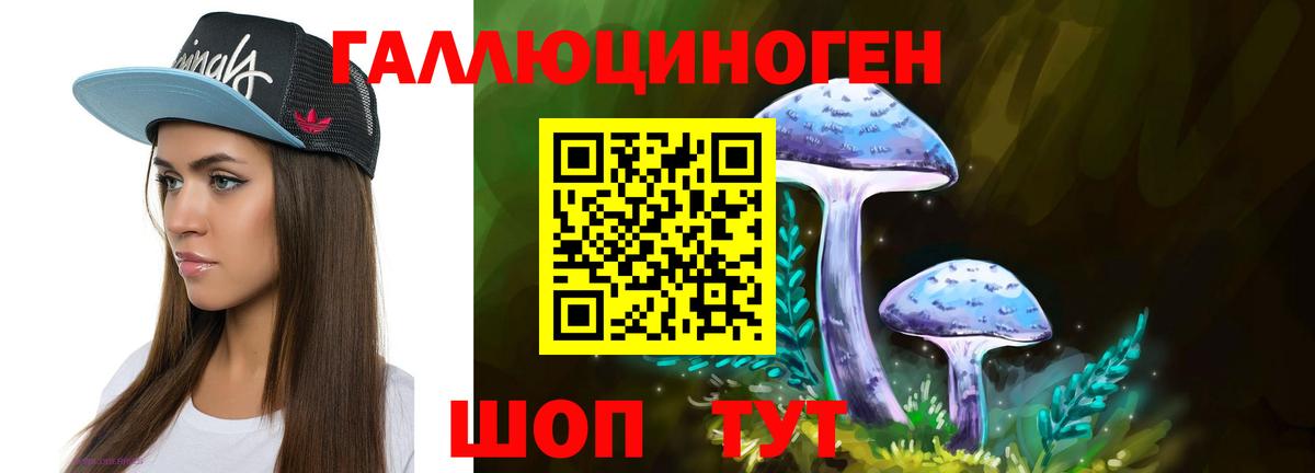 Дальнегорск  Галлюциногенные грибы Psilocybe  Вход с VPN  Галлюциногенные грибы прущие грибы 